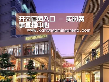 案例展示一
