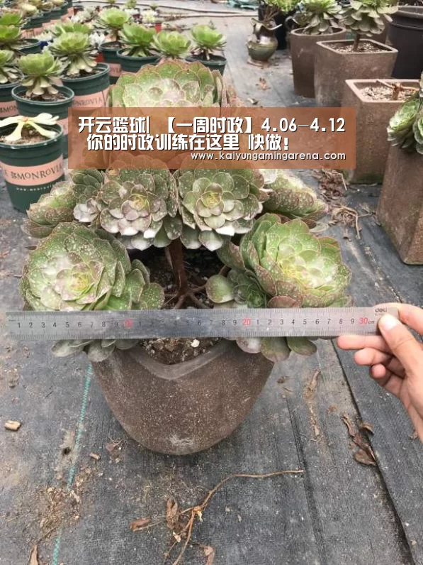 开云篮球|
【一周时政】4.06-4.12 你的时政训练在这里 快做!(图1) 开云篮球