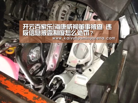 开云百家乐|海康威视董事被查 违反信息披露制度怎么处罚?(图2) 开云百家乐