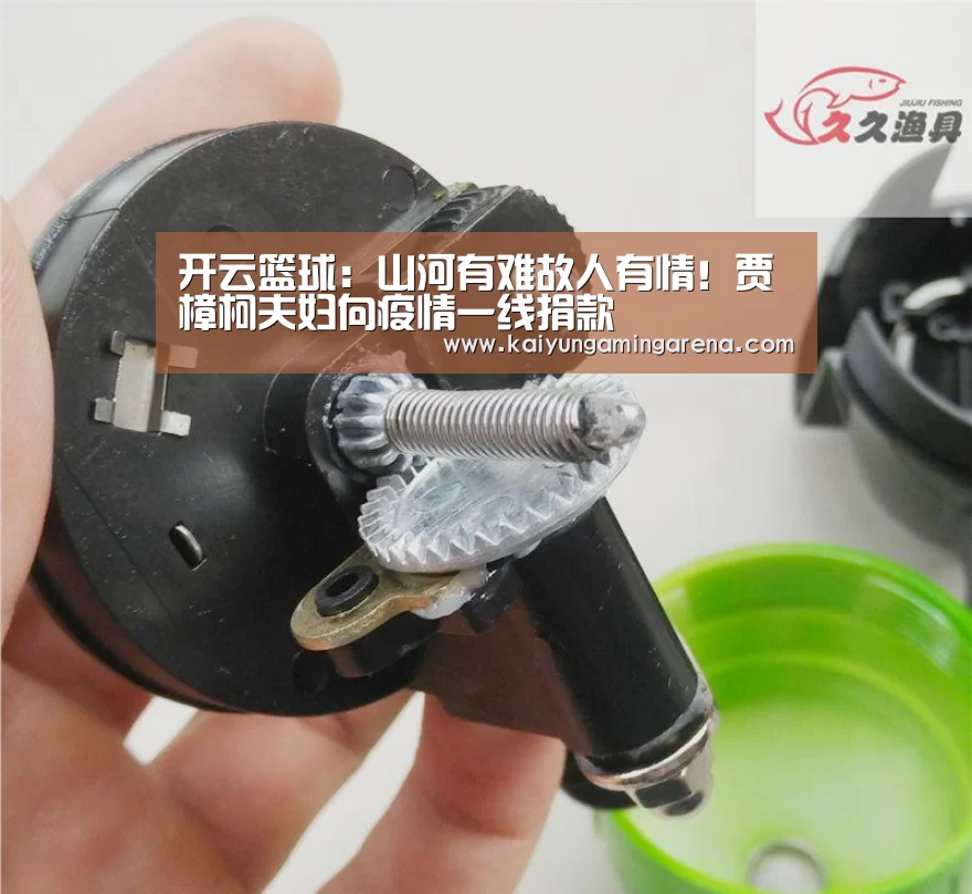 开云篮球:山河有难故人有情!贾樟柯夫妇向疫情一线捐款(图3) 开云直播