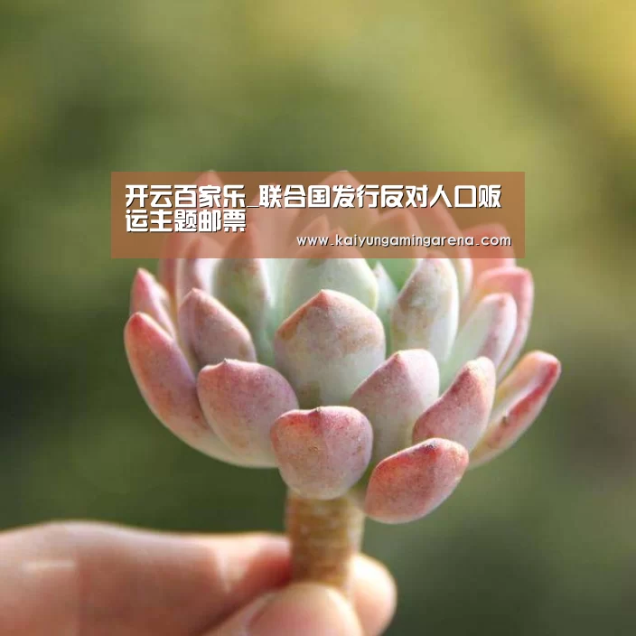 开云百家乐_联合国发行反对人口贩运主题邮票(图3) 开云直播