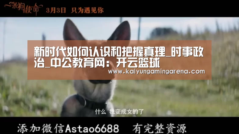 开云竞猜