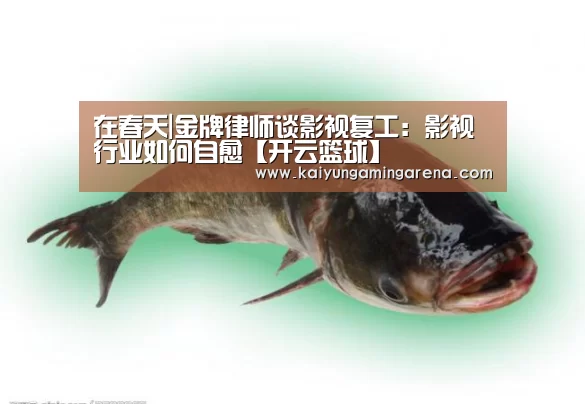 开云竞猜