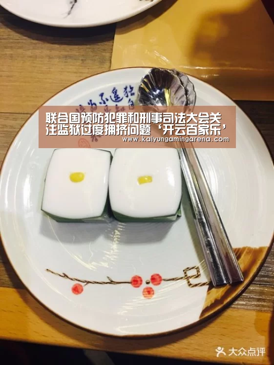 联合国预防犯罪和刑事司法大会关注监狱过度拥挤问题‘开云百家乐’(图2) 开云竞猜