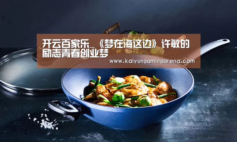 开云百家乐_《梦在海这边》许敏的励志青春创业梦(图1) 开云篮球