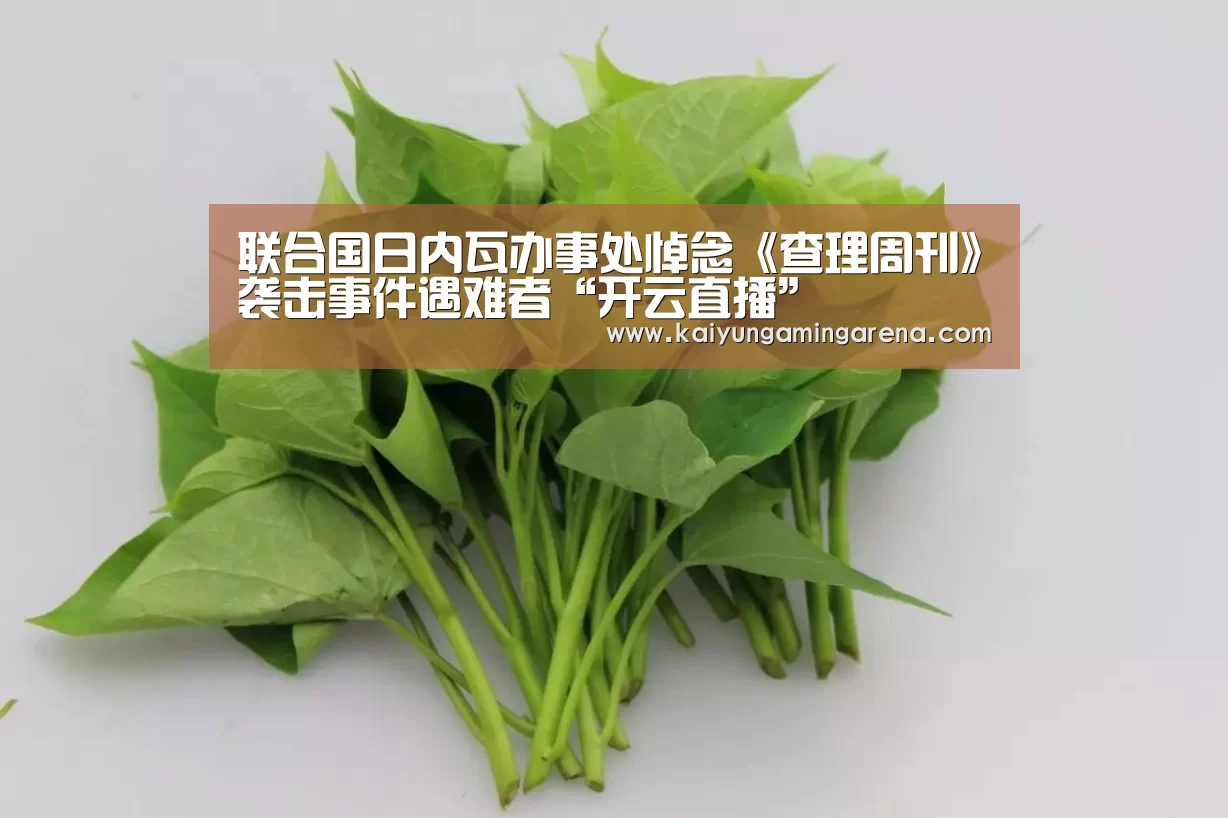 联合国日内瓦办事处悼念《查理周刊》袭击事件遇难者“开云直播”(图2) 开云竞猜